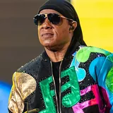 Stevie Wonder portrait